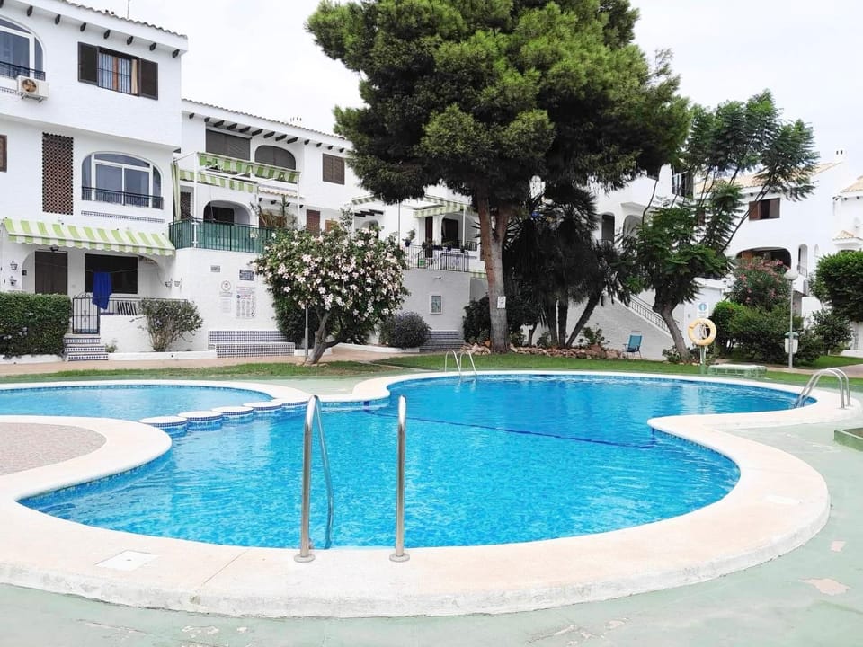 Garden, Garden view, Pool view, Swimming pool, Swimming pool
