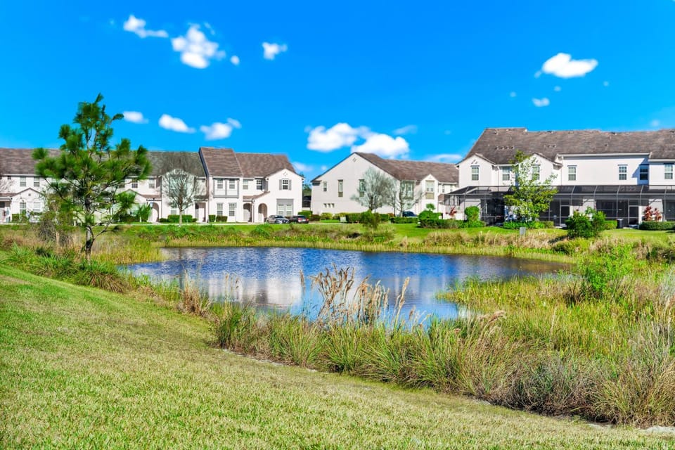Lake view