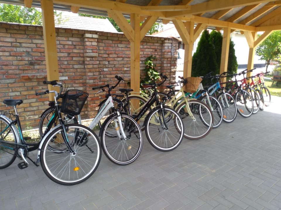 Cycling, Cycling