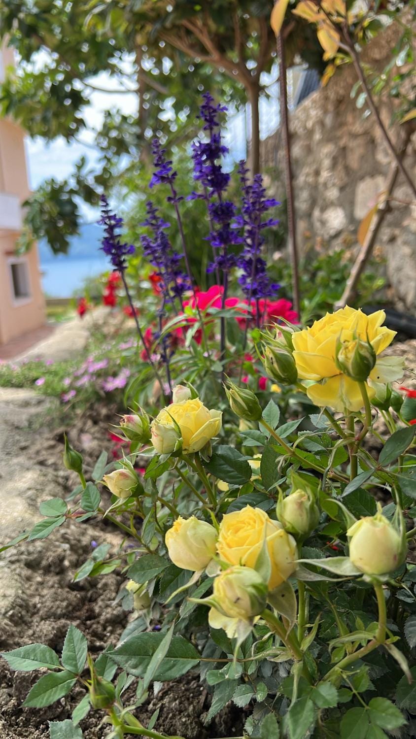 Levi's Villa Radhima Apartment in Vlorë County, Albania