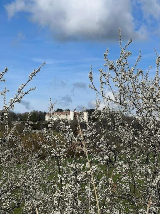 Spring
