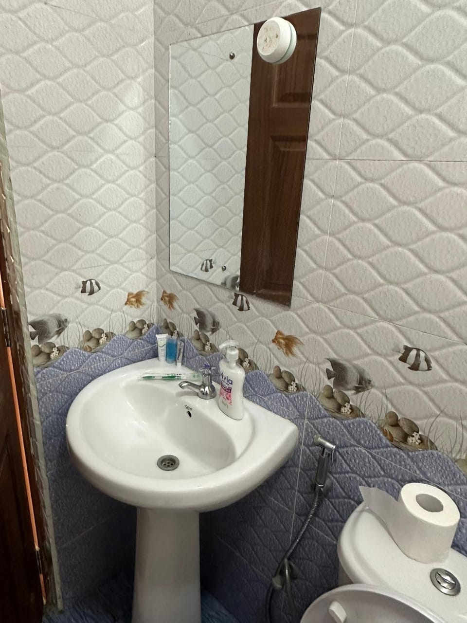 Toilet, Bathroom