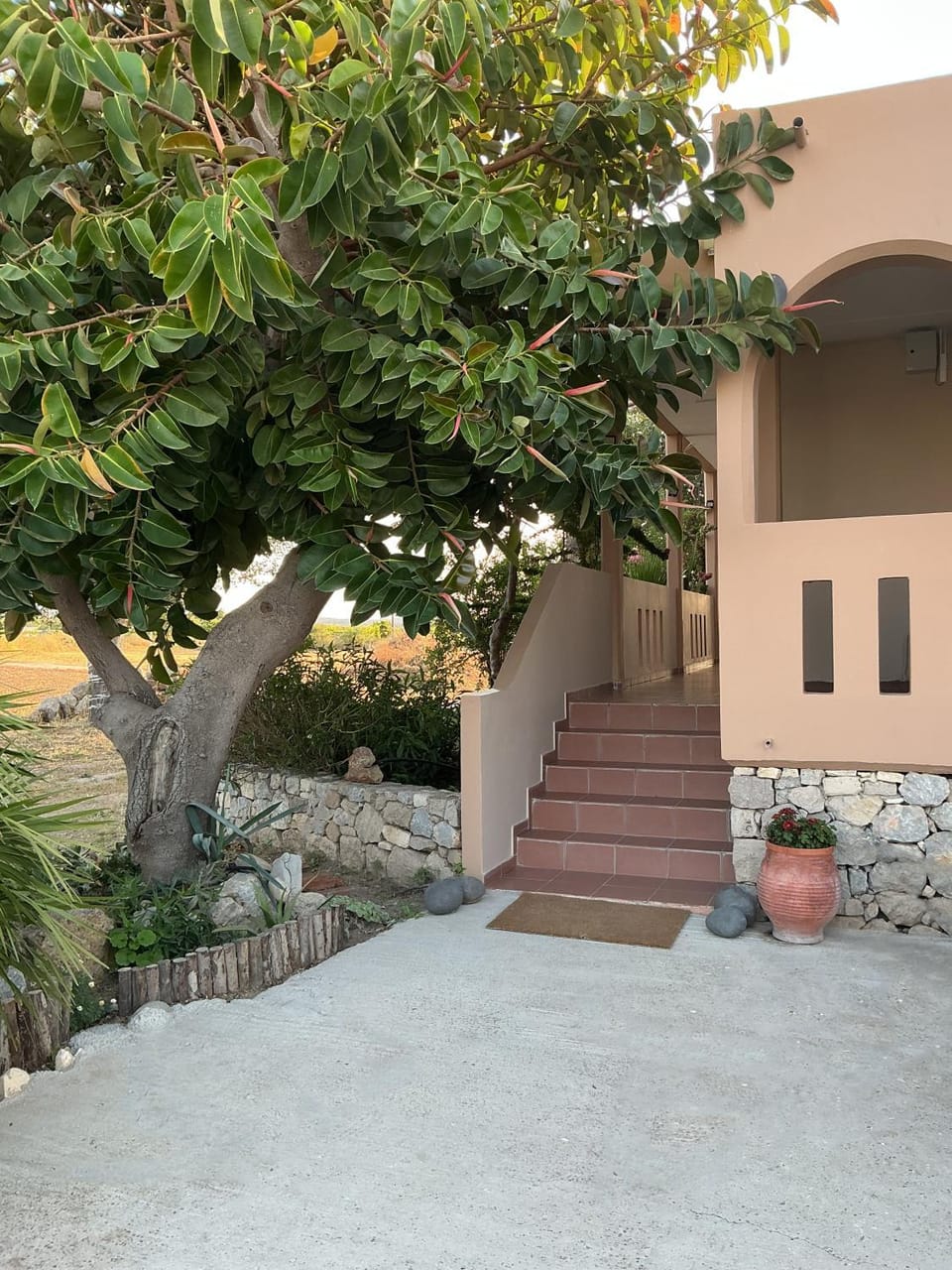 Property building, Day, Garden