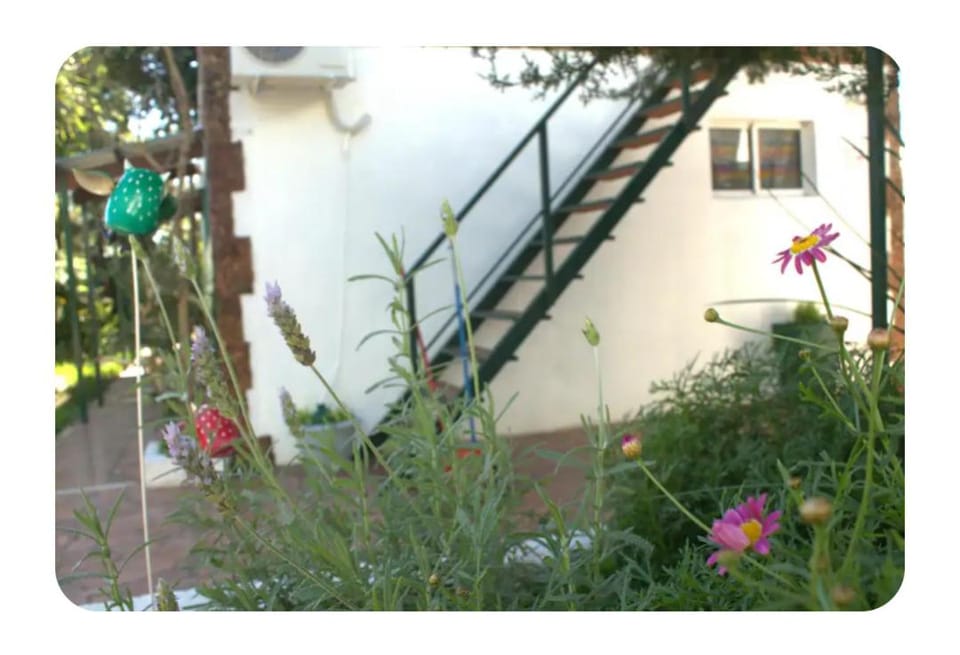 Day, Garden, Garden view