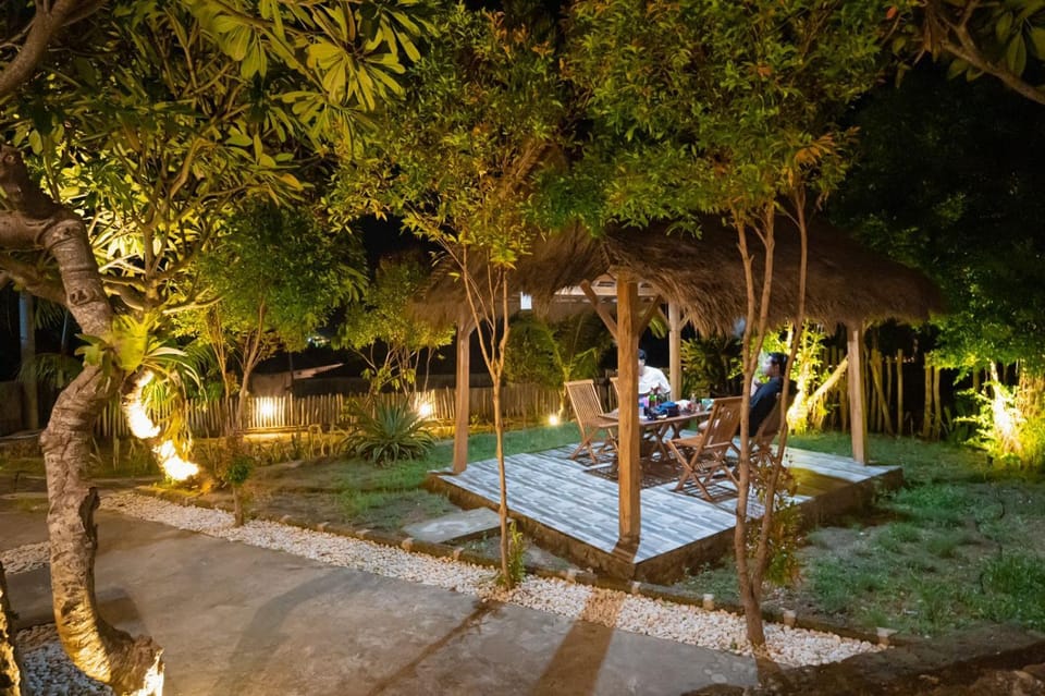 Night, Garden, Garden view