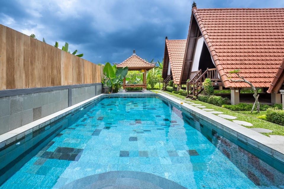 Property building, Day, Garden, Garden view, Pool view, Swimming pool