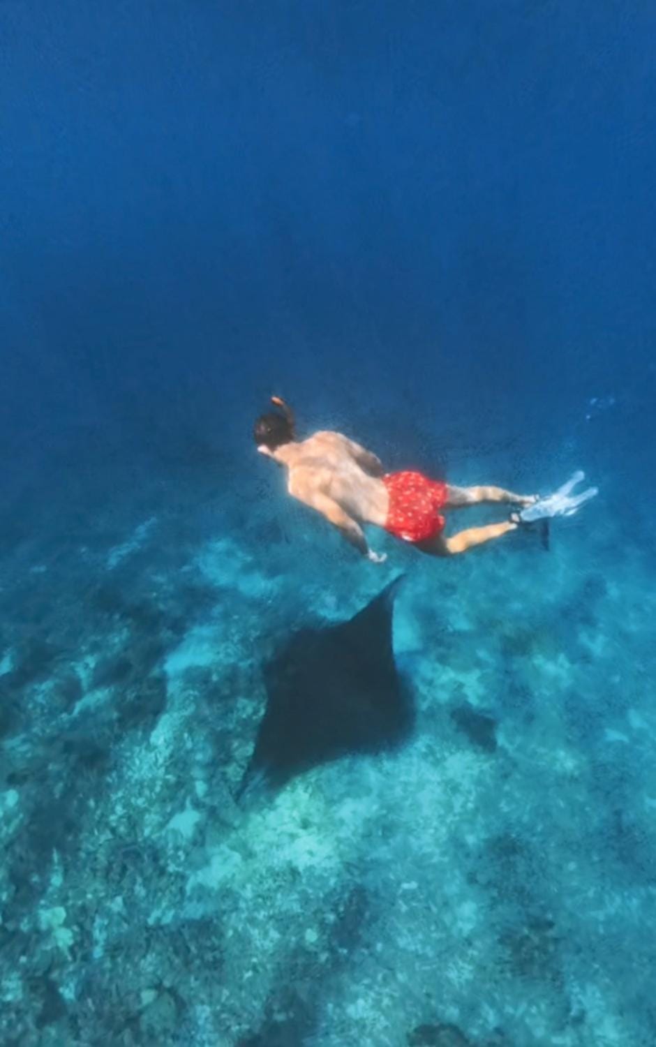 Snorkeling