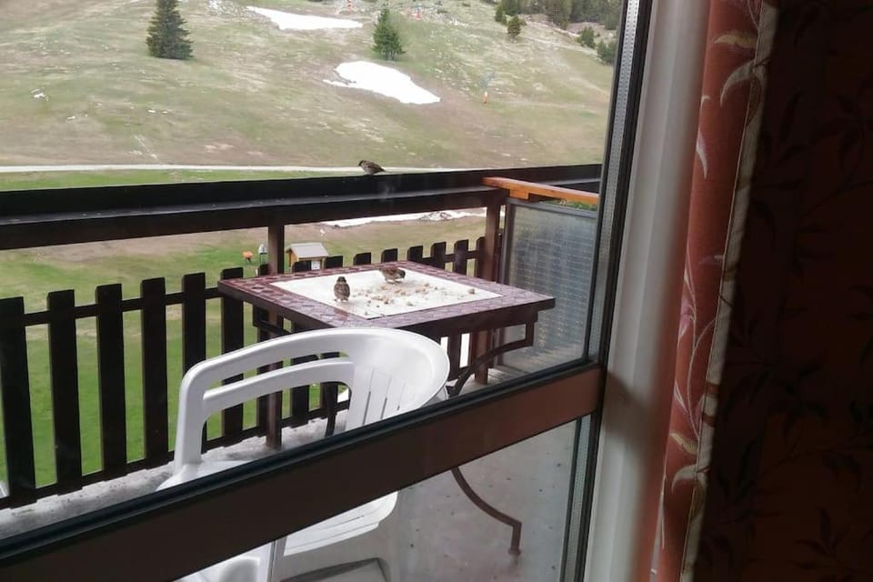 Balcony/Terrace, Balcony/Terrace
