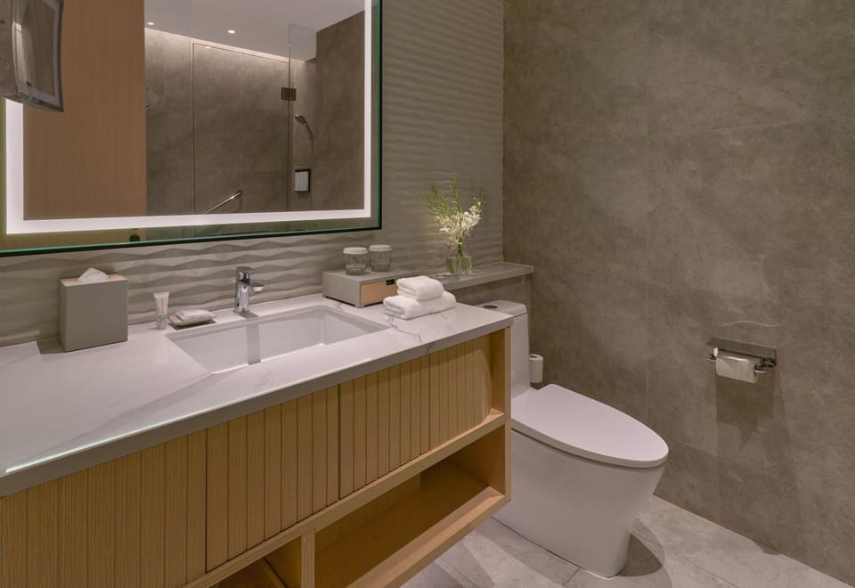 Toilet, Bathroom