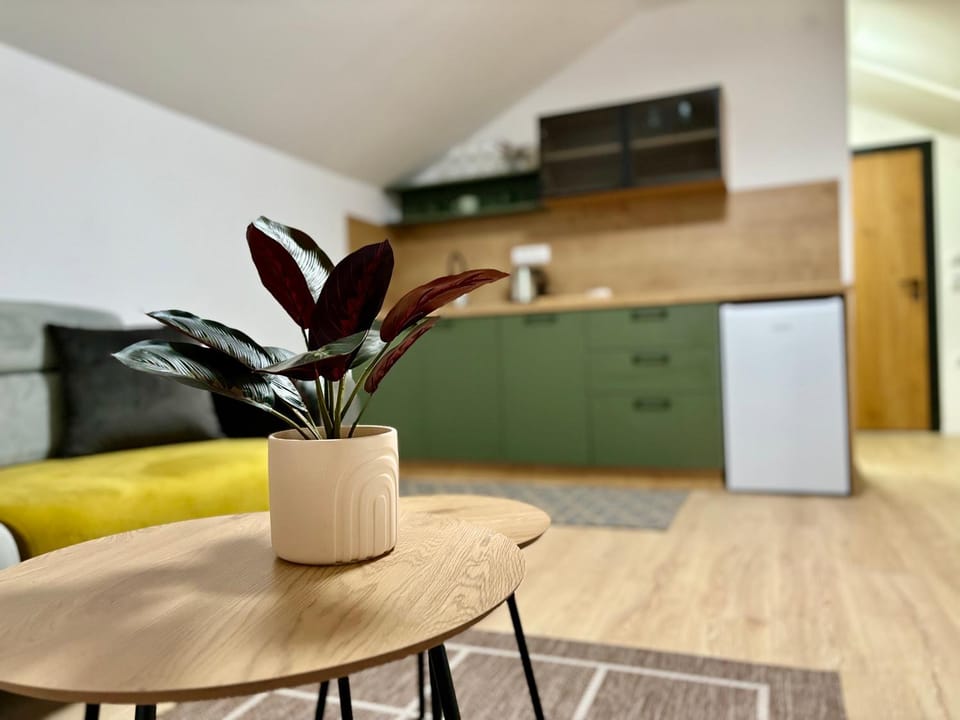 Promo Apartman Self Check-In Apartment in Serbia