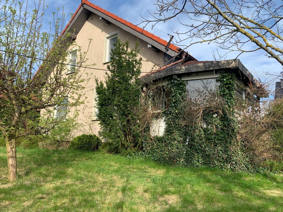 Property building, Garden, Garden view