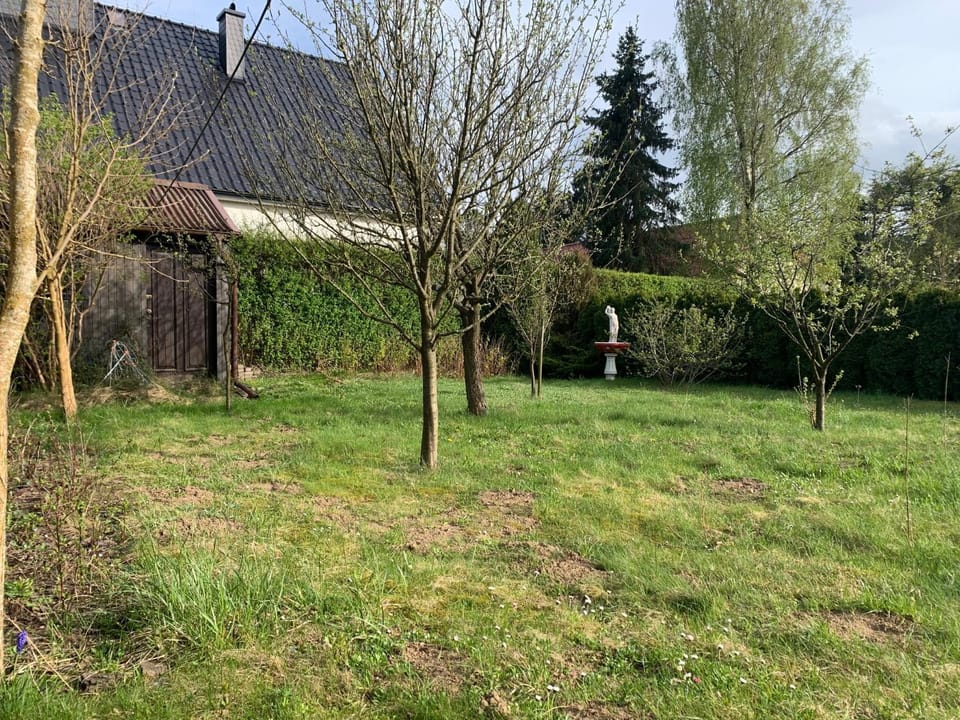 Spring, Day, Natural landscape, Garden, Garden view