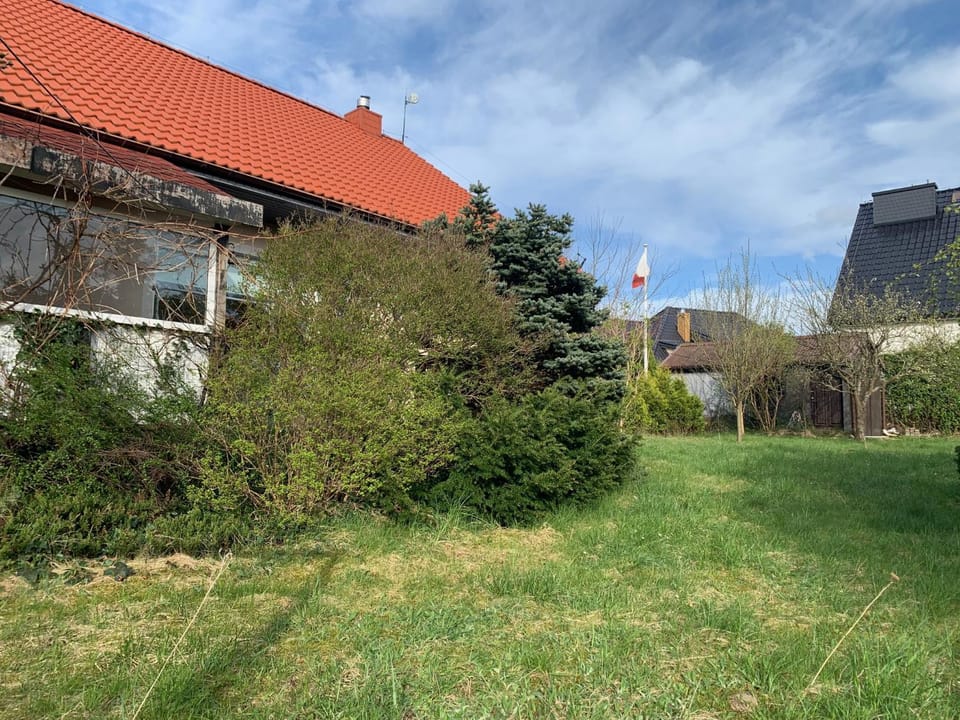 Property building, Spring, Natural landscape, Garden, Garden view