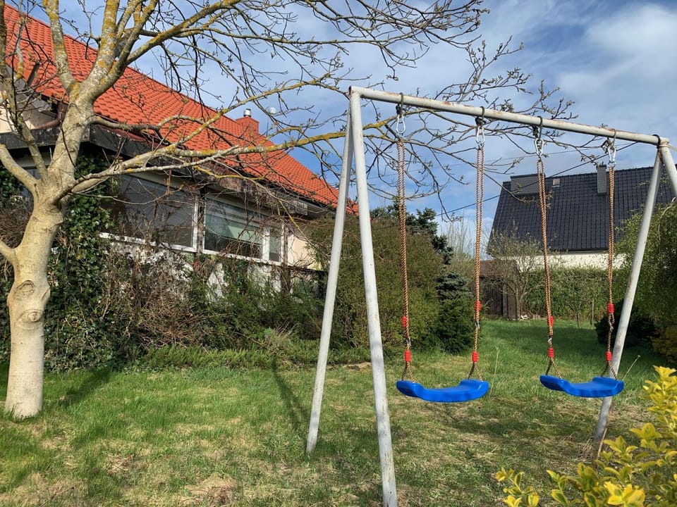 Spring, Natural landscape, Children play ground, Garden, Garden view