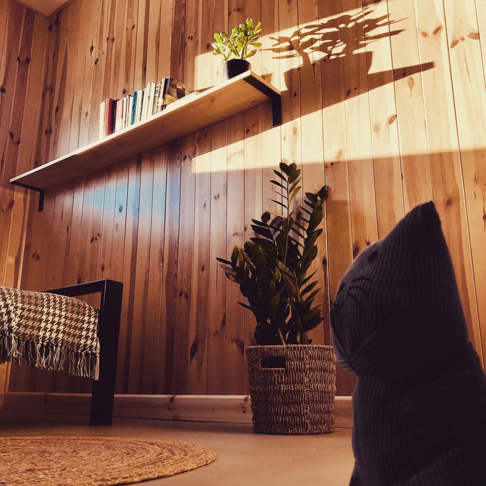 Library, Seating area, Bedroom