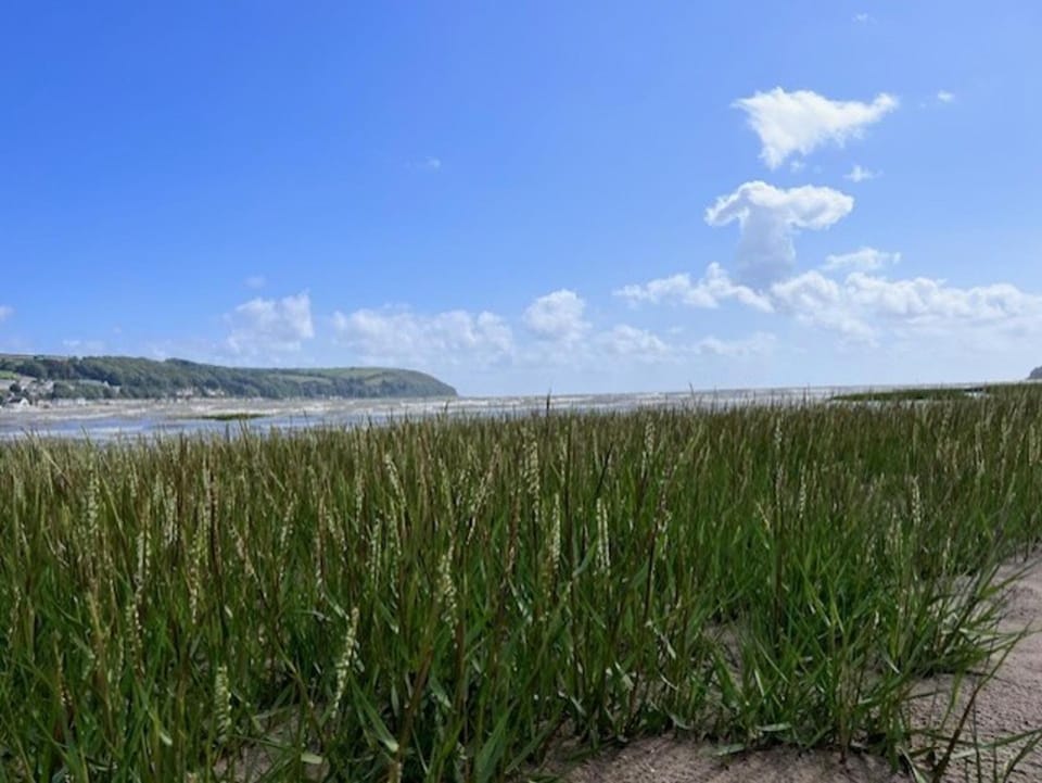 Llansteffan - Dog Friendly 2-Bed House Sleeps 4 House in Llansteffan