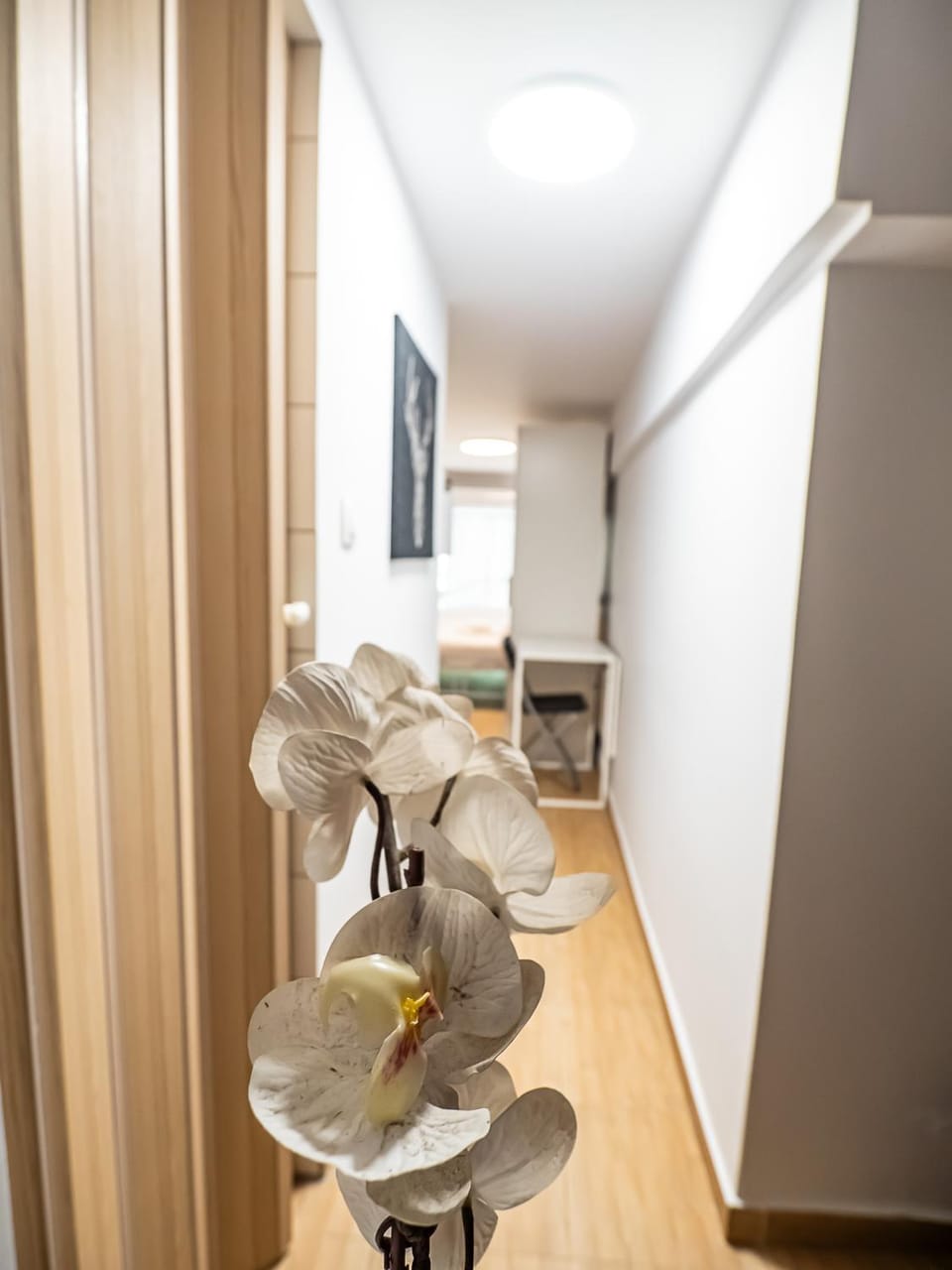Living room, Photo of the whole room, Decorative detail, Decorative detail, Bedroom