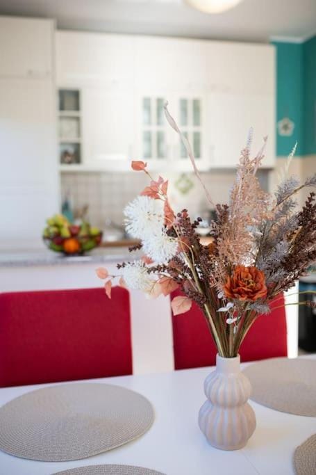App Nevis Apartment in Istria County