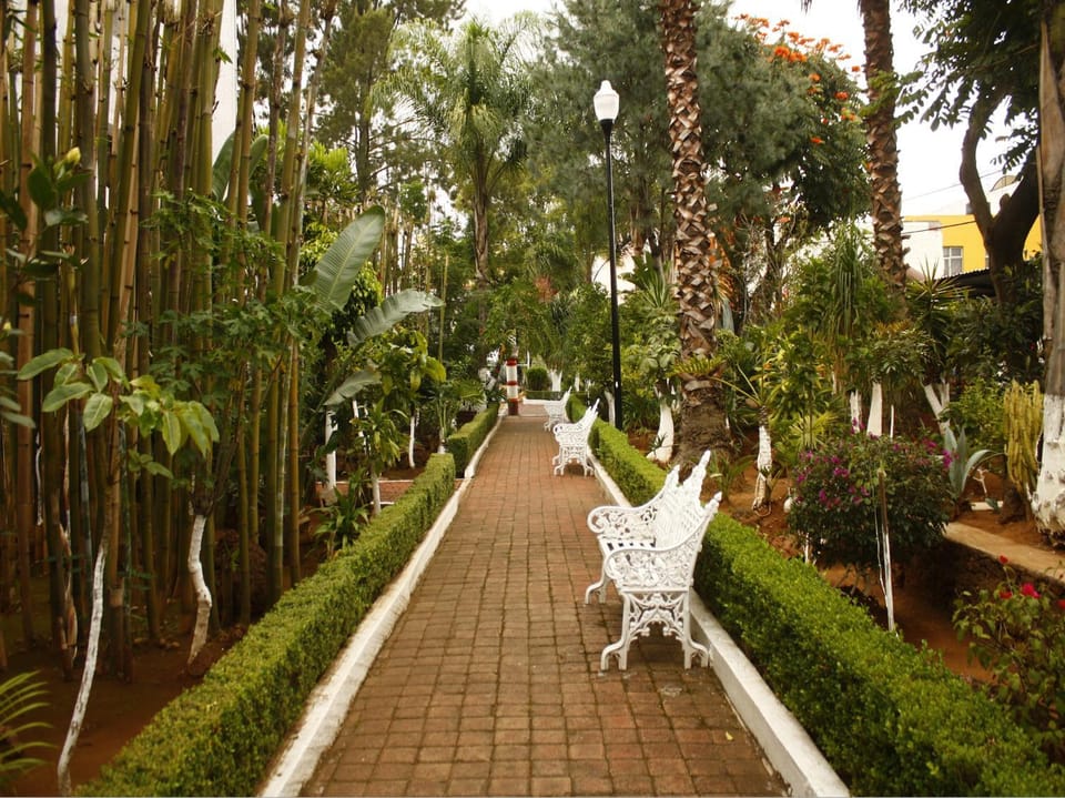 Garden