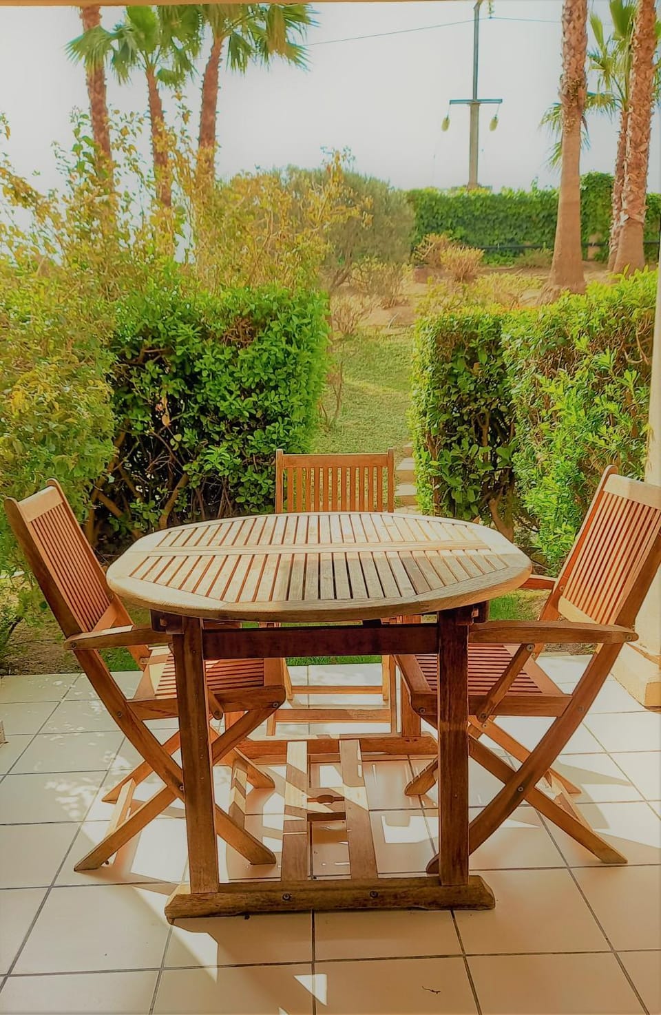 Garden