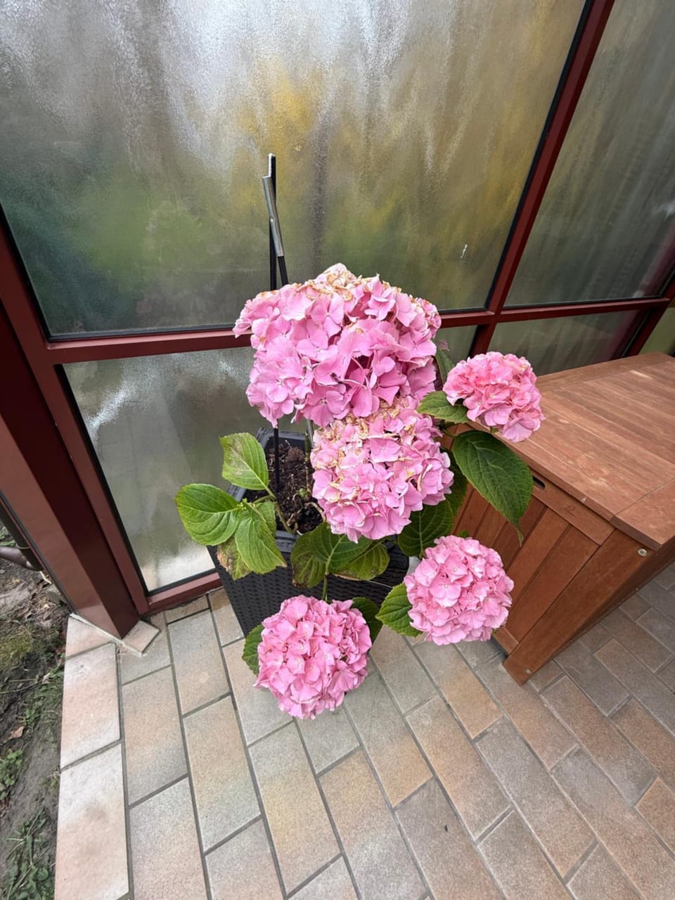 Spring