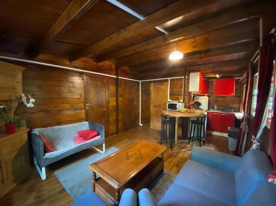 Mon Chalet dans les bois Chalet in Haute-Savoie