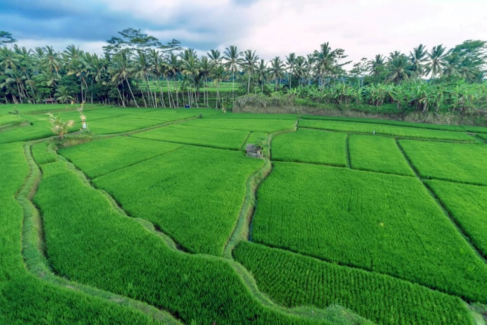 Natural landscape
