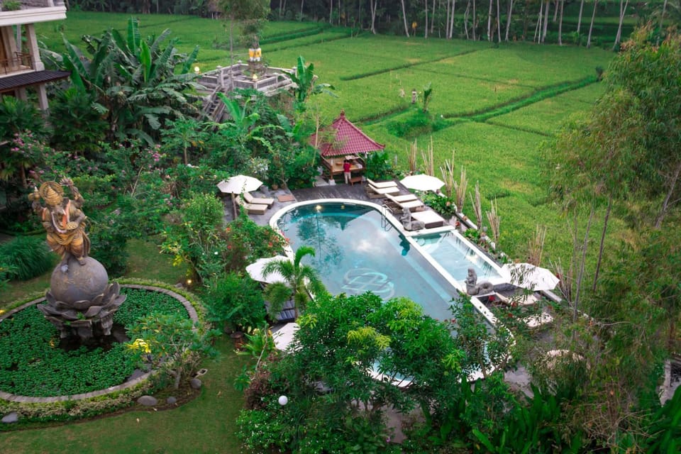 Bird's eye view, Pool view, Swimming pool, Swimming pool