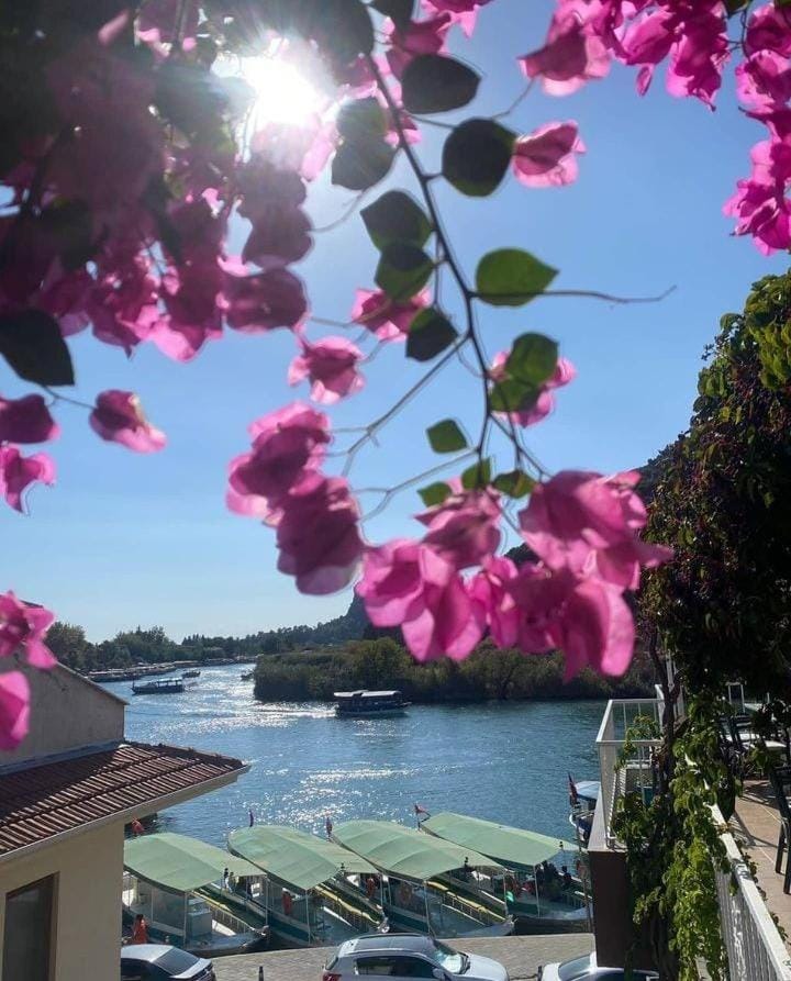 Natural landscape, Balcony/Terrace, Lake view
