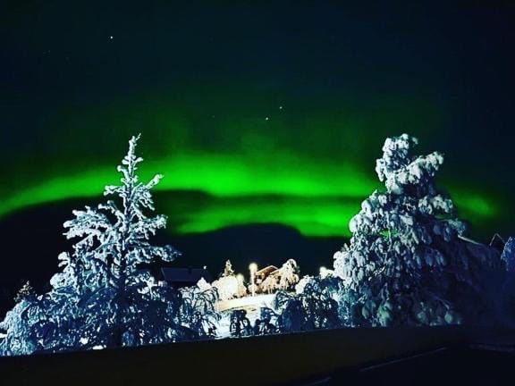 Neighbourhood, Natural landscape, Winter