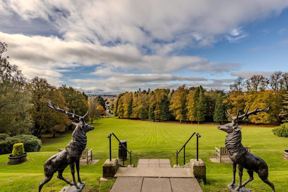 Natural landscape, Garden, Garden view