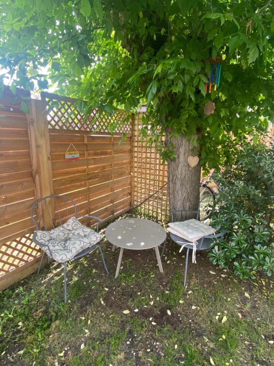 Garden view