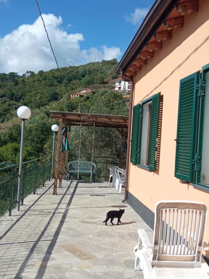 View (from property/room), Balcony/Terrace