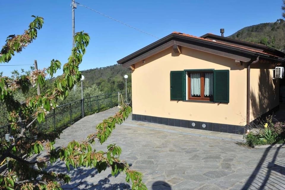 Property building, Garden view