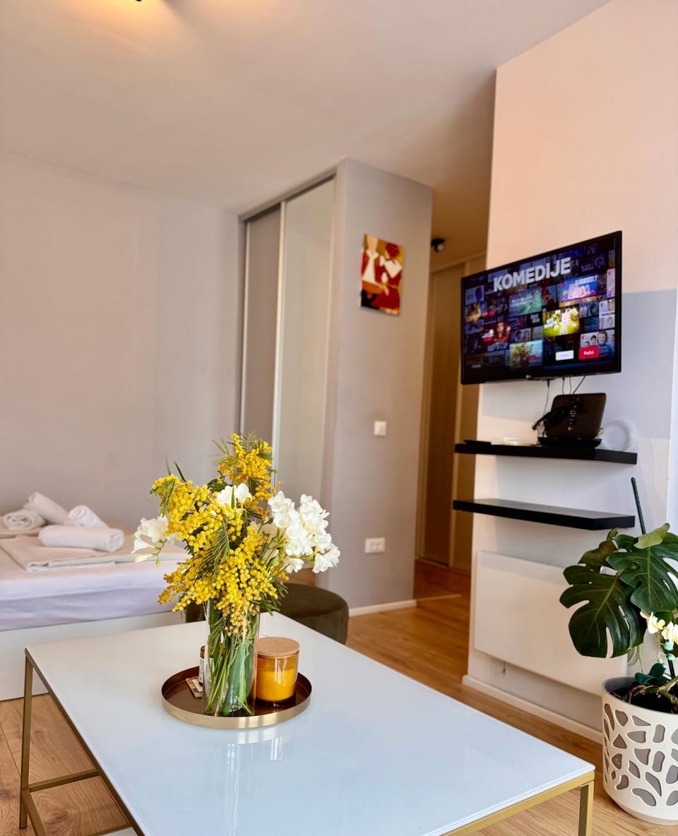 Cozy studio with sunny terrace Apartment in Dubrovnik