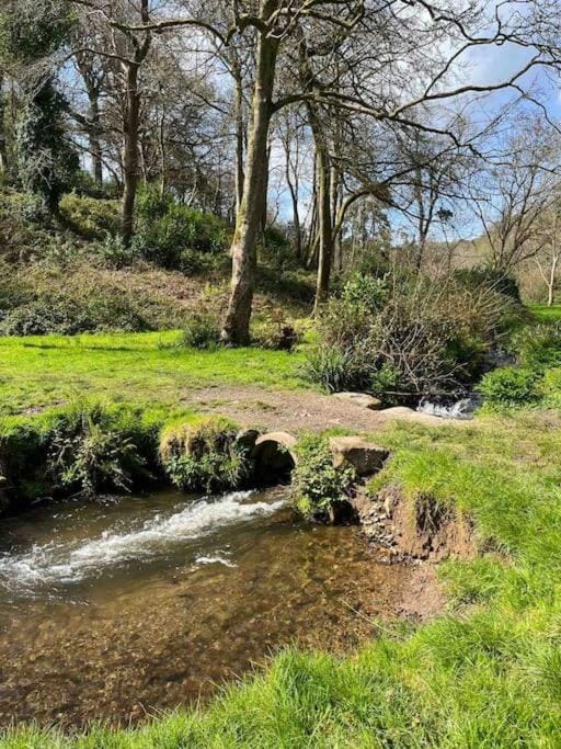 Stepping Stones Cottage - Lelant, Nr St Ives Apartment in England