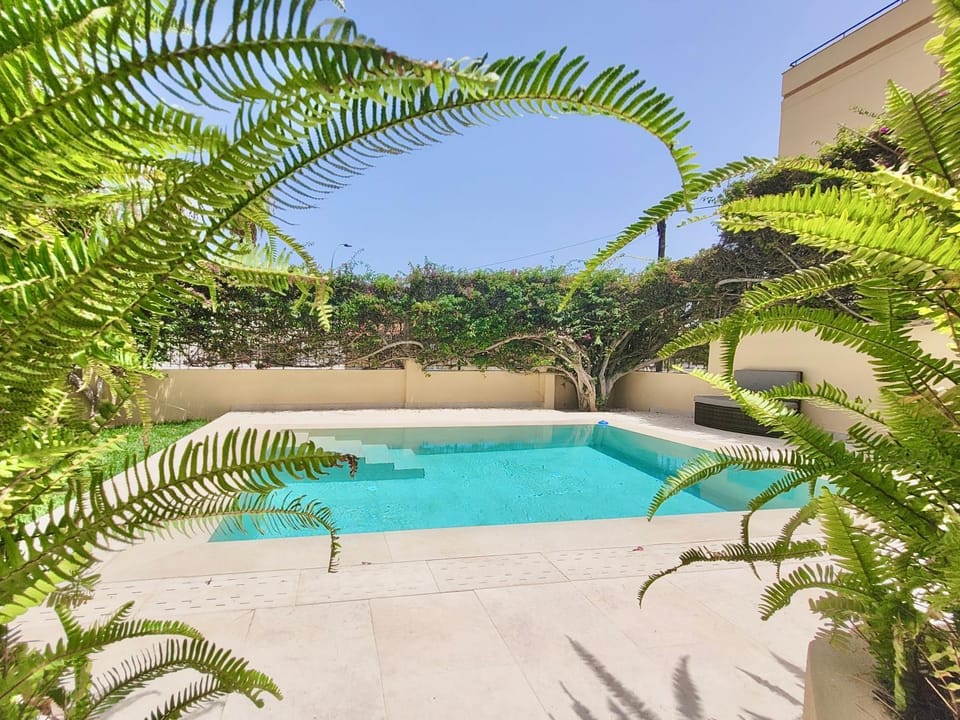 Swimming pool, Swimming pool