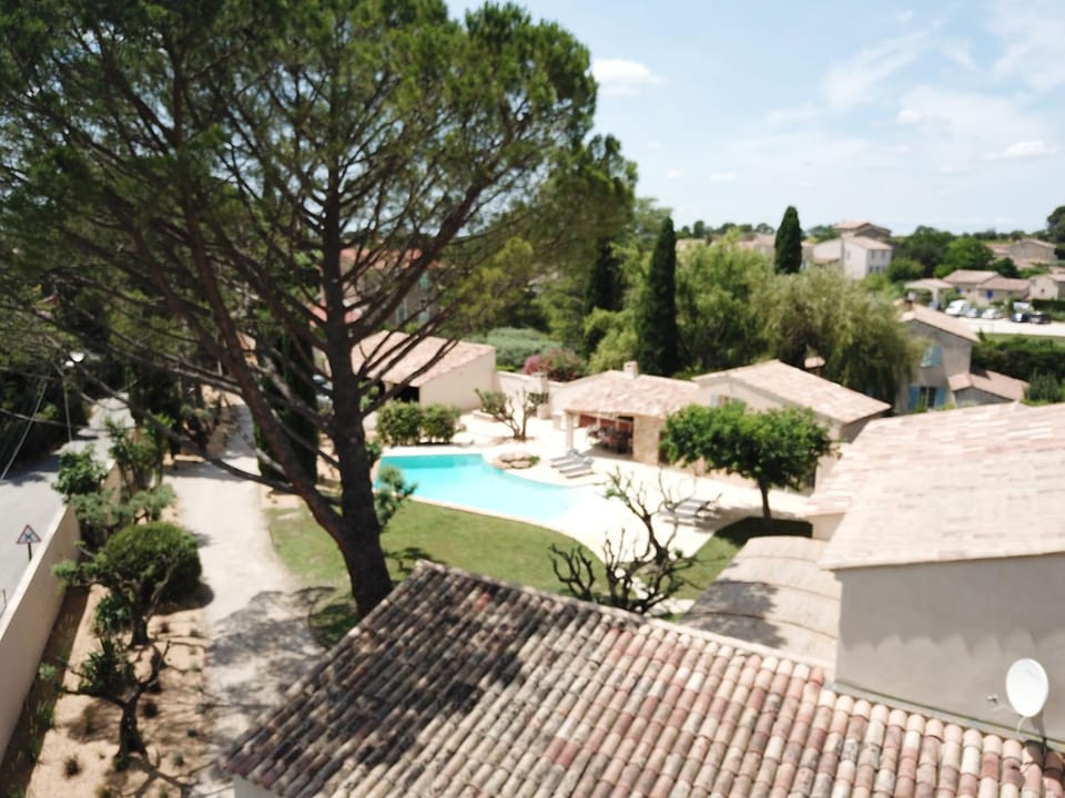 Natural landscape, Garden, Garden view, Pool view, Swimming pool, sunbed