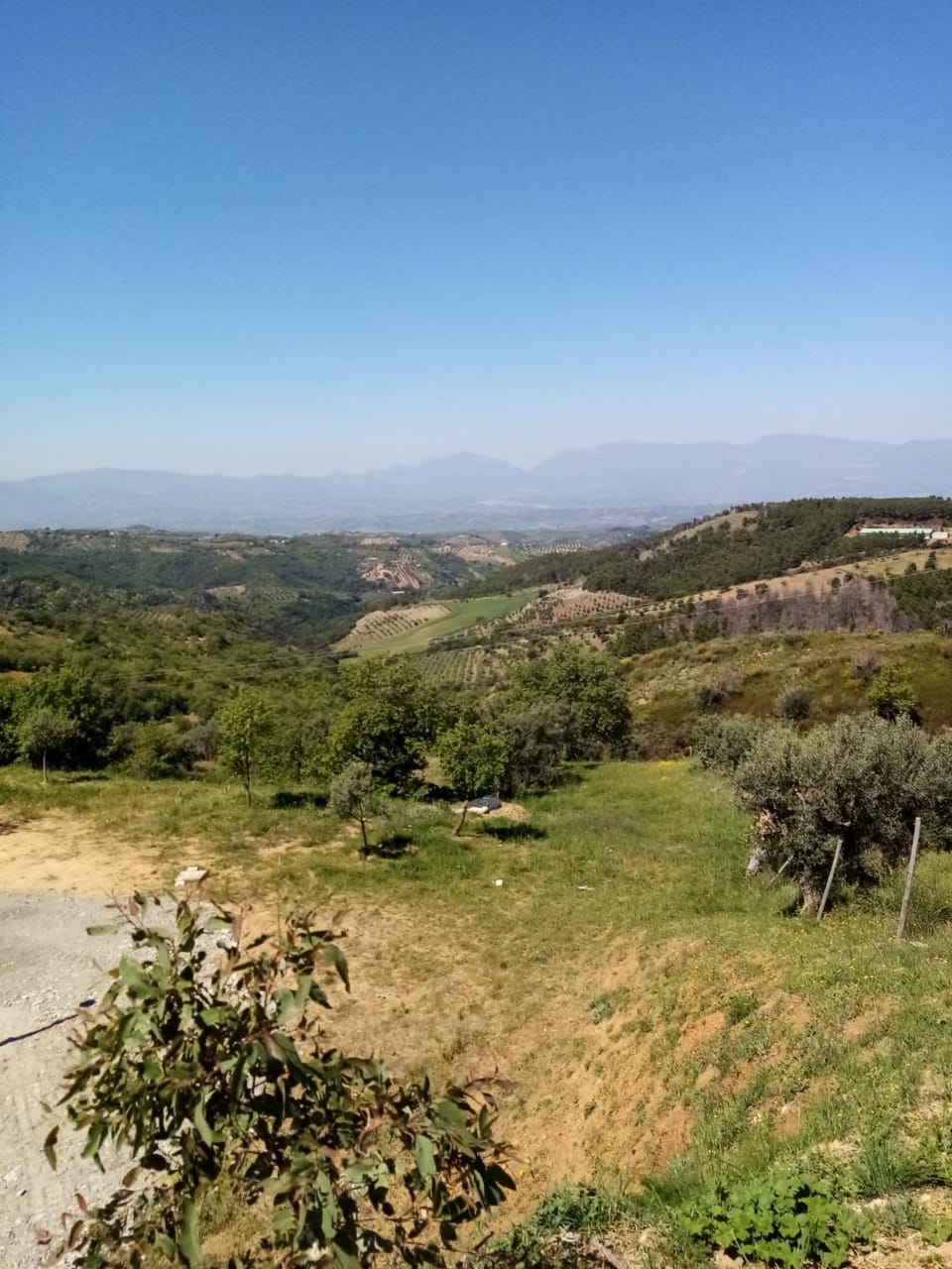 Nearby landmark, Spring, Day, Natural landscape
