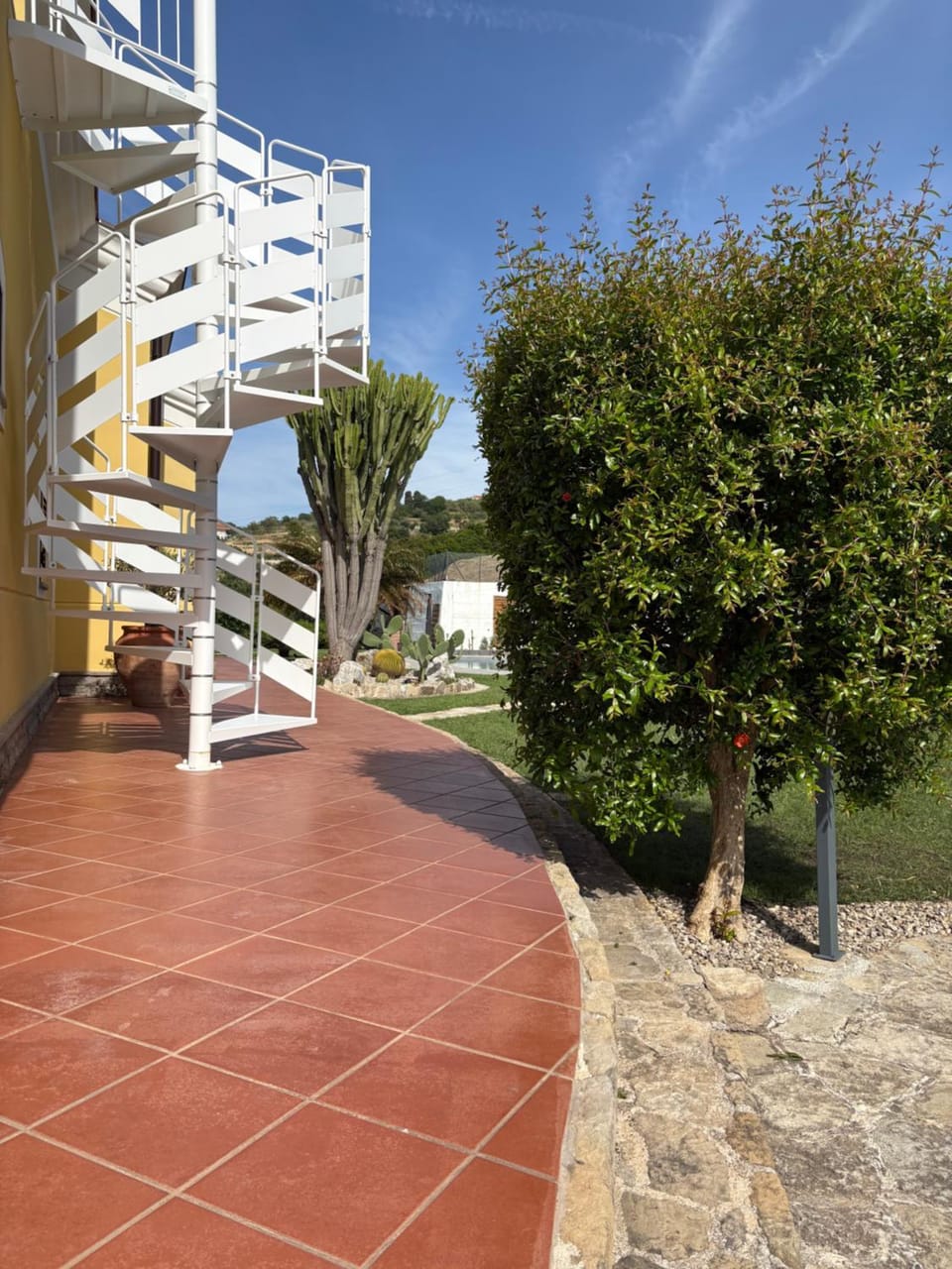 Garden view