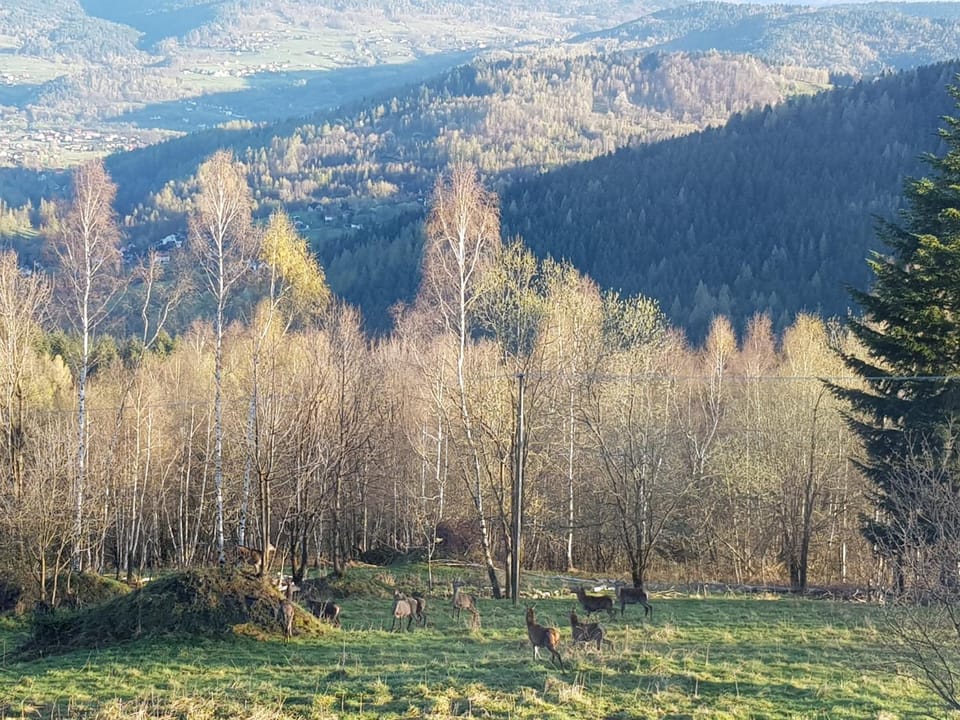 Natural landscape, Mountain view