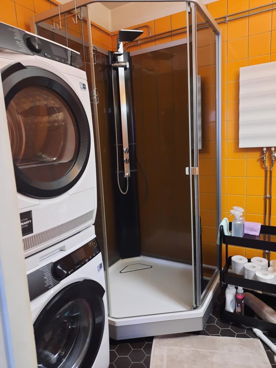 Shower, Bathroom, washing machine, dryer