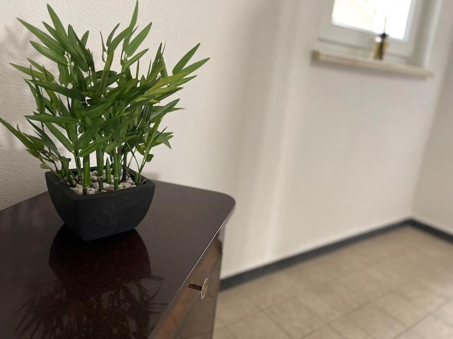 Appartement cosy centre-ville Apartment in Rhineland-Palatinate