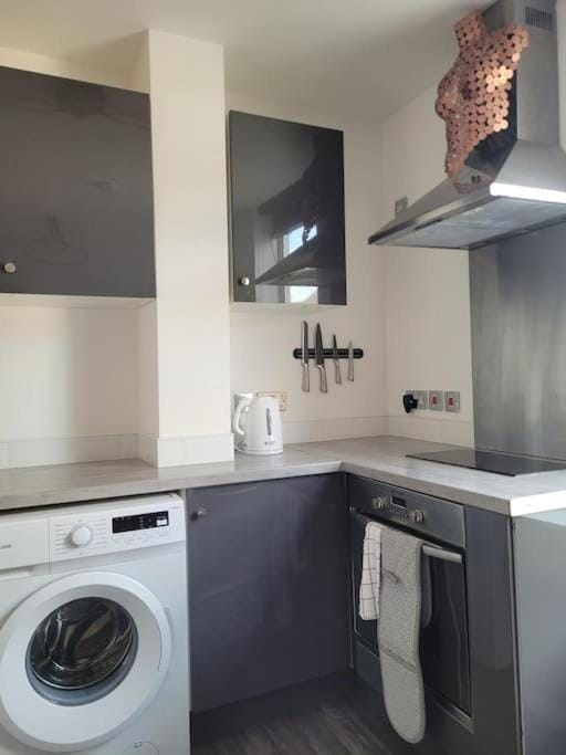 Kitchen or kitchenette, minibar, pet friendly, stove, washing machine