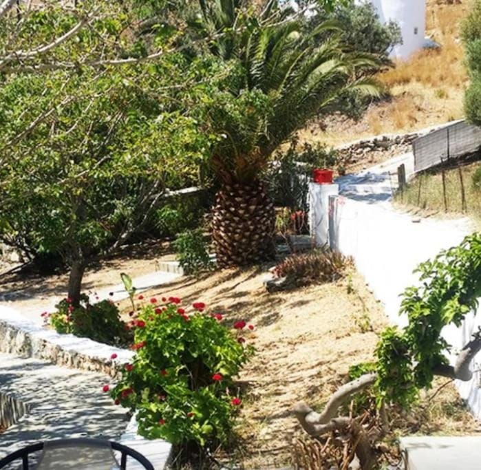 Day, Garden, Garden view