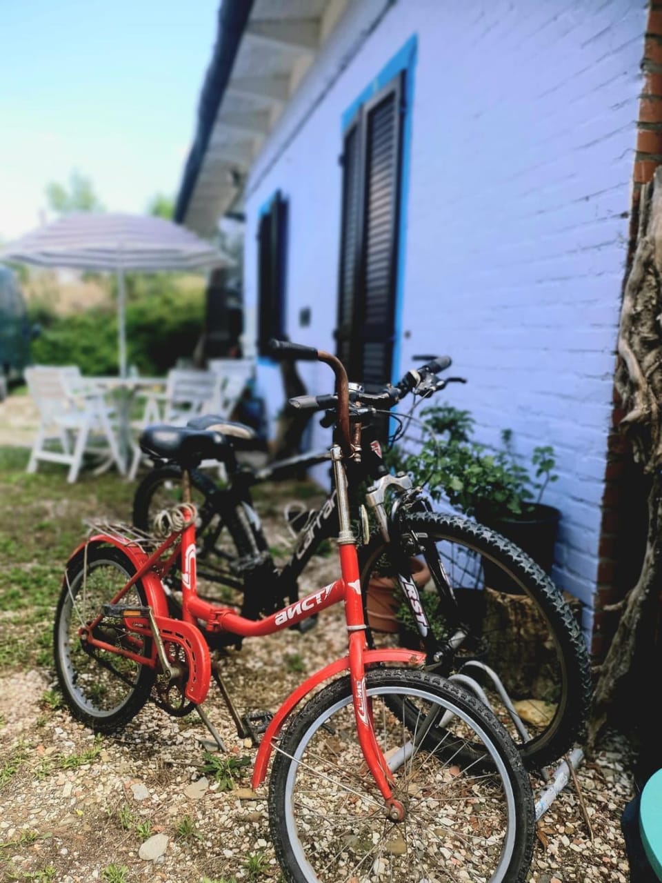 Property building, Cycling