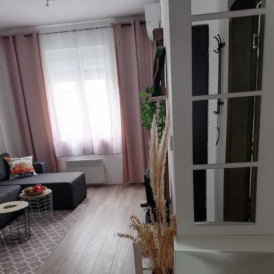 Tara-lux Apartment in Serbia
