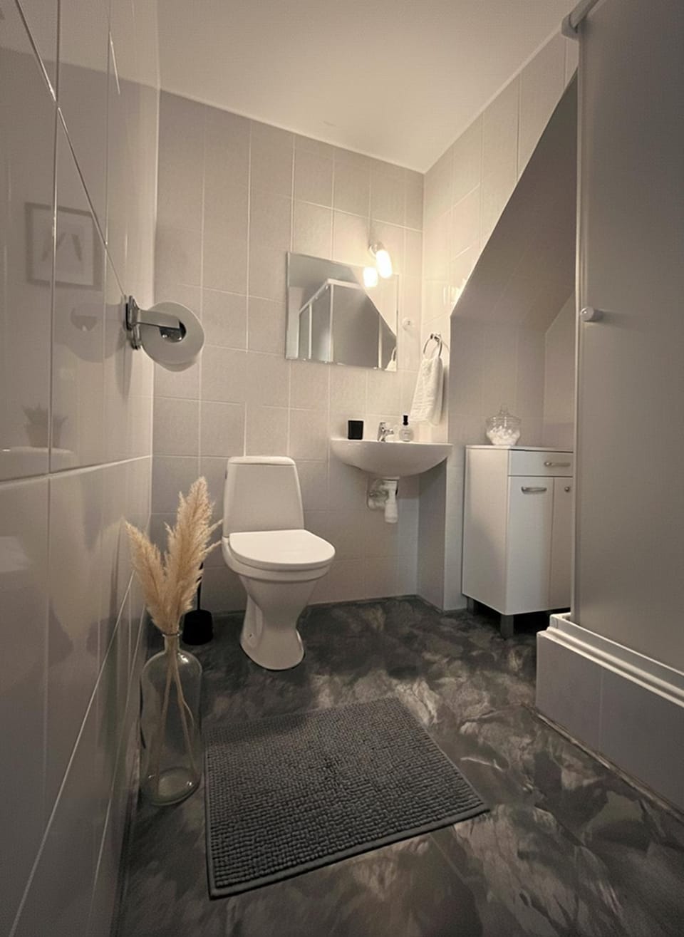 Shower, Toilet, towels