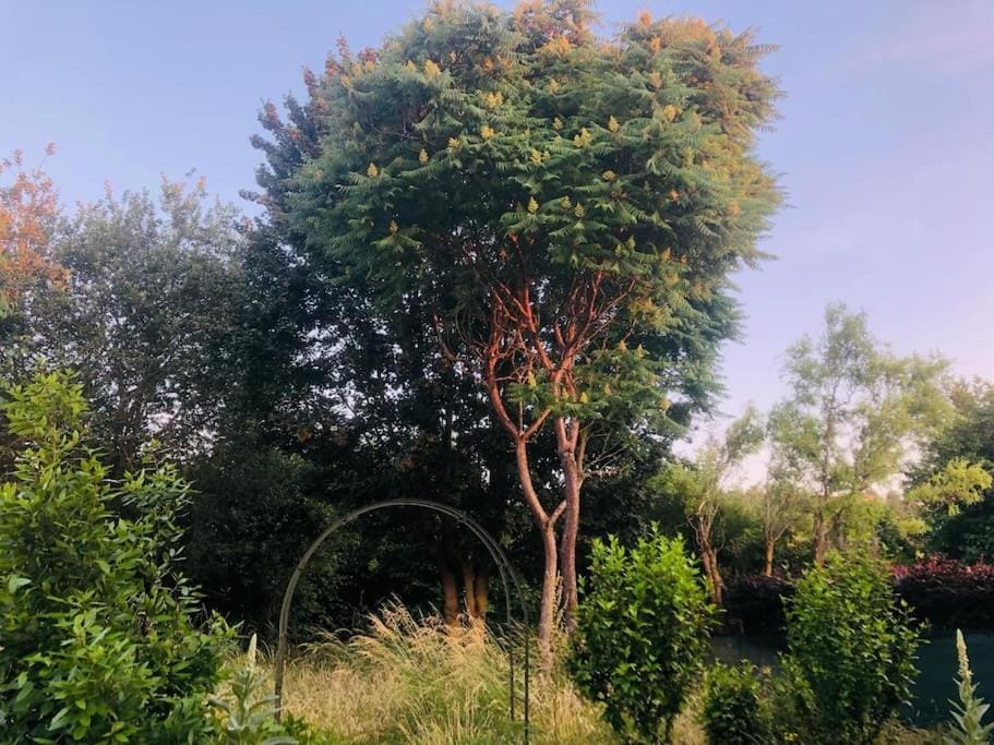 Maison Cosy & son jardin Apartment in Laon