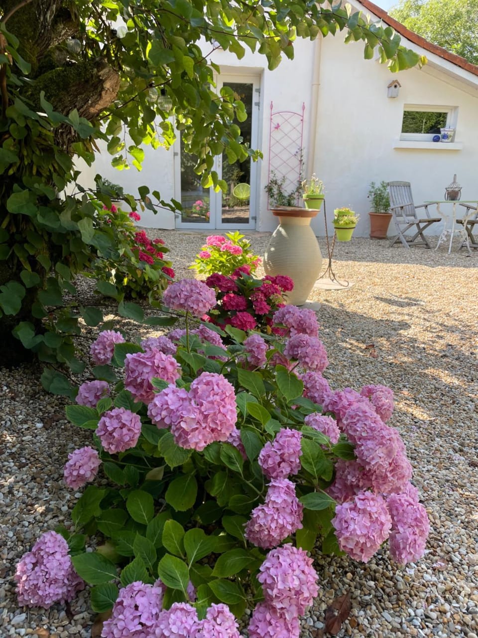 Garden, Garden, Garden view
